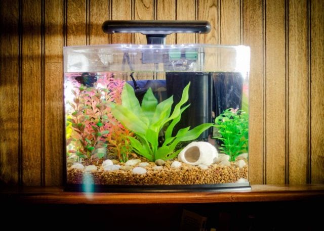 Membuat Aquarium Dari Barang Bekas Beautifull Cara