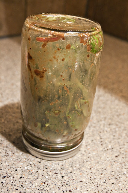 shaken not stirred -1