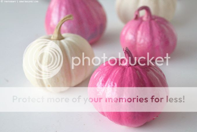 http://i402.photobucket.com/albums/pp103/Sushiina/cityglam/ft1.jpg