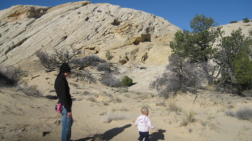 03.27.10 Wild Horse Window