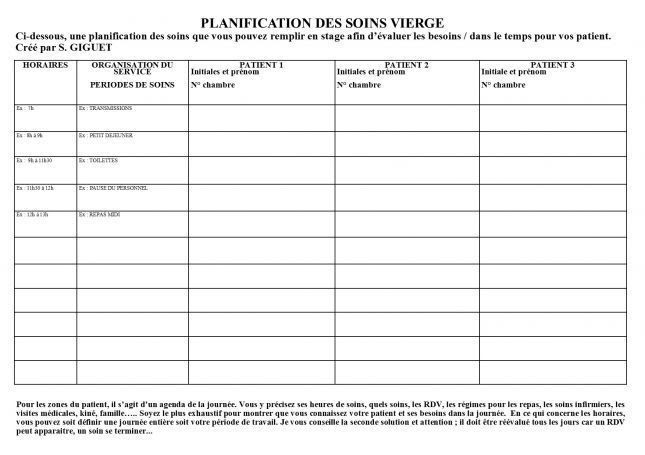 Exemple De Planification De Soins Infirmiers  Le Meilleur Exemple