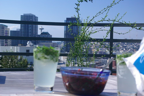 Salsa, Mojito, Jasmine, Focus