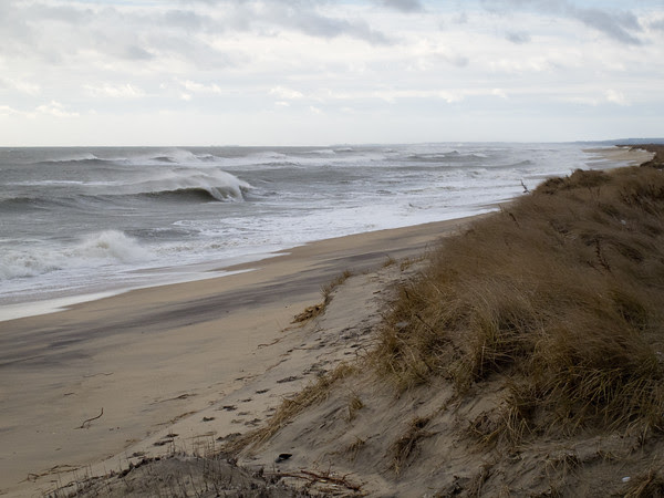 Edgartown News