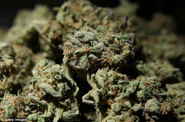 A federal advisory panel admitted cannabis can almost certainly ease chronic pain, and might help people sleep. But it dismisses most of the drug's other 'medical benefits' as unproven