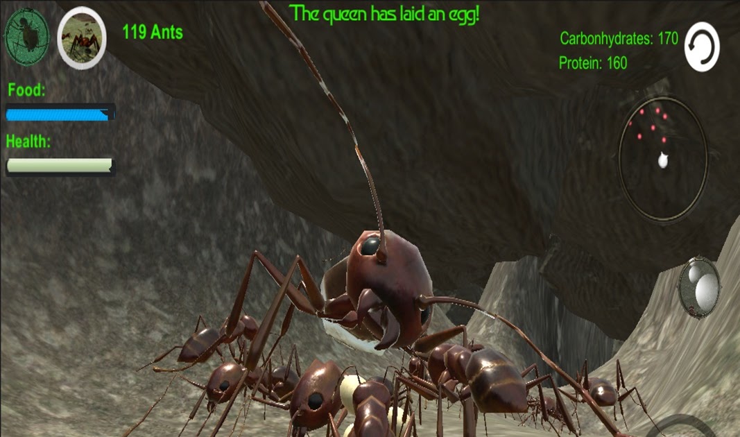 roblox queen ant code simulator codes