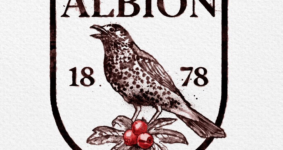 West Brom Logo / West Bromwich Albion F C Coloring Pages