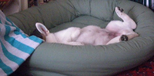 Aug. 16 sleepy Happy-1