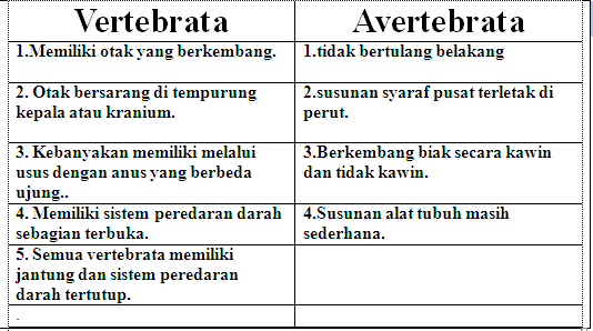 Sebutkan Contoh Hewan Invertebrata  Dan  Alat Ekskresinya 