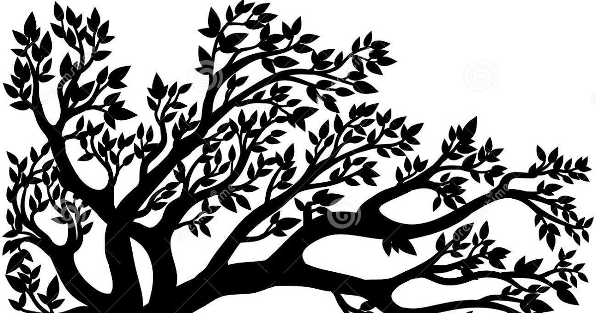 Clipart Png Tree Branch - Images | Amashusho