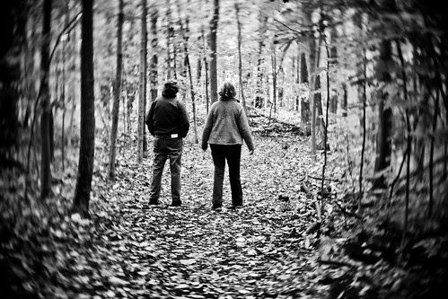 wooded path