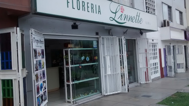 FLORERÍA Linnette