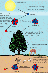carbon-14