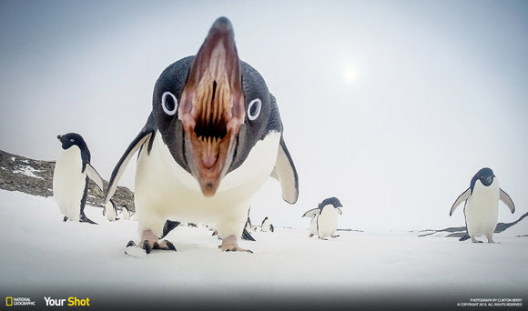 National Geographic-2015