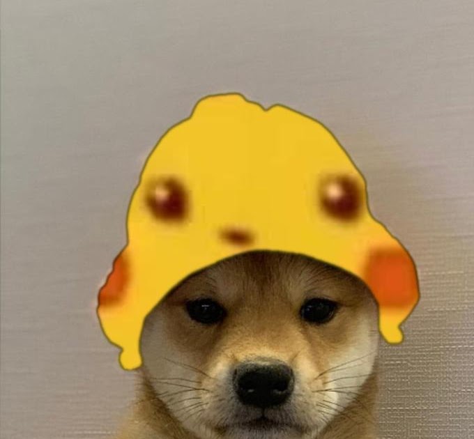 Doge Dog Pfp / Doge is the original character of the dogelore universe
