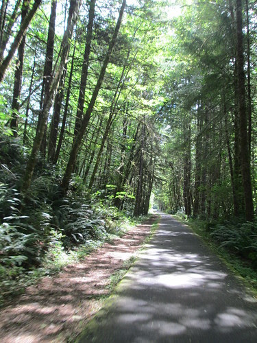 Banks Vernonia Trail with sunlight