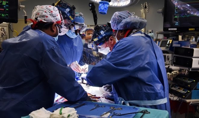 Американские хирурги провели первую в мире пересадку свиного сердца человеку