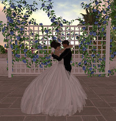Thorne-Darwin Wedding - First Dance