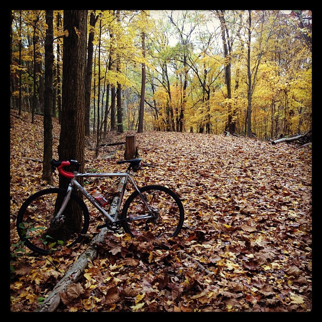Gravel ride. Glorious fall.