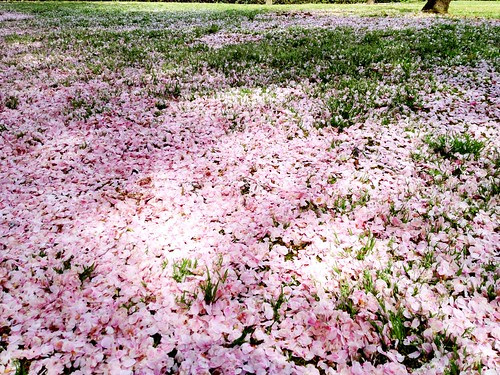 20120415094321