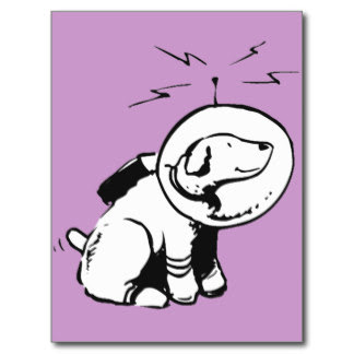 cartoon media: Cartoon Dog In Astronaut Suit