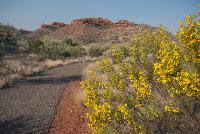Free Image Hosting at www.ImageShack.us