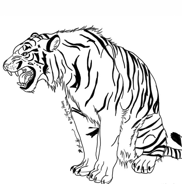 37 Tiger Zum Ausmalen Besten Bilder von ausmalbilder