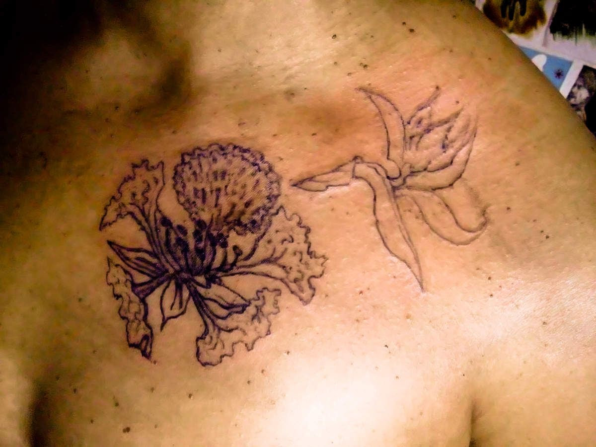 Image de Fleur Tattoo Fleur Oiseau Du Paradis