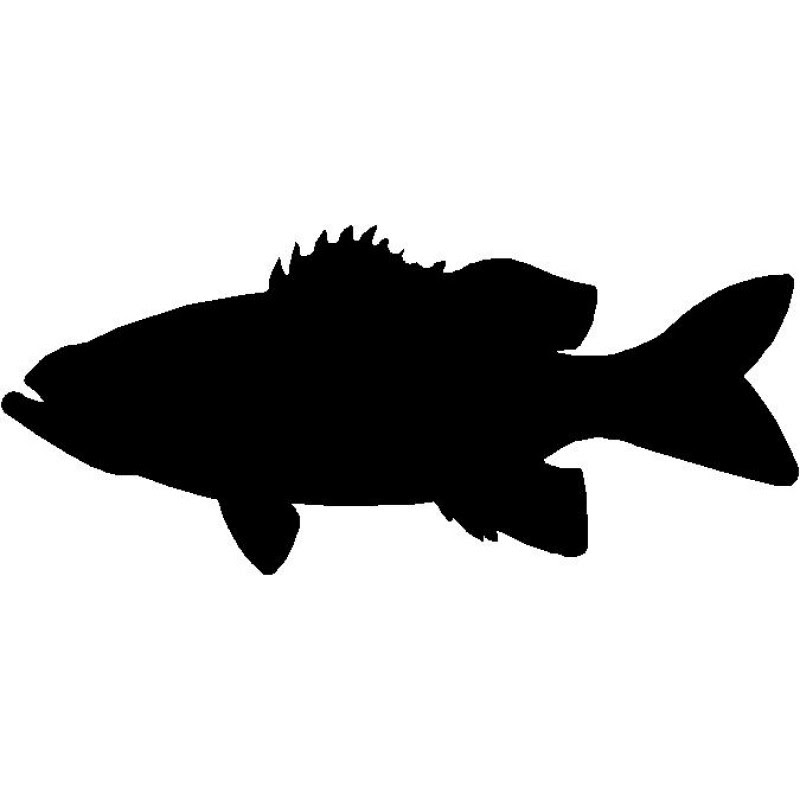 Free 314 Silhouette Bass Svg SVG PNG EPS DXF File