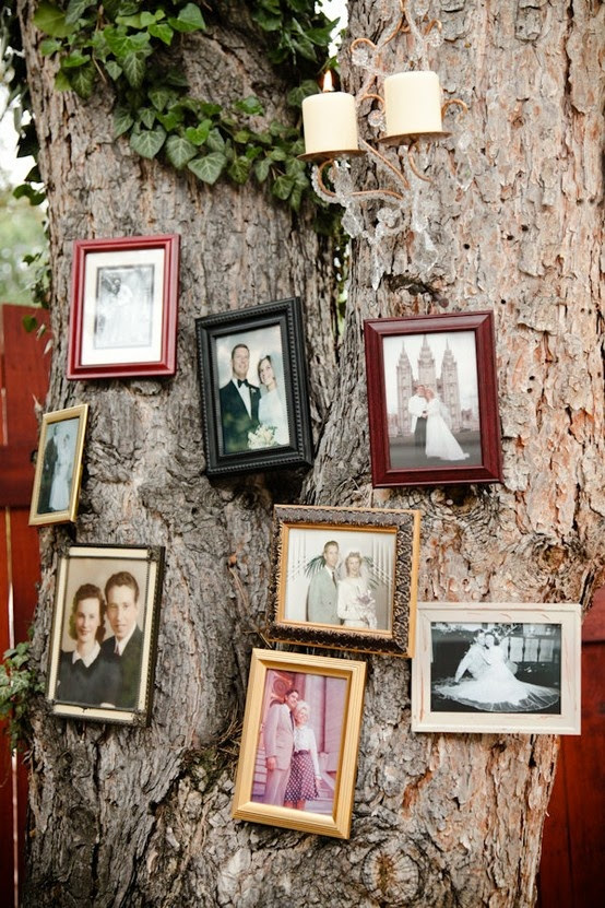 Outdoor wedding decor. Family portraits in eclectic frames on tree trunk. Rustic romance.