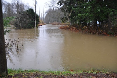 Flood 2009