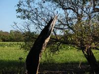 Free Image Hosting at www.ImageShack.us