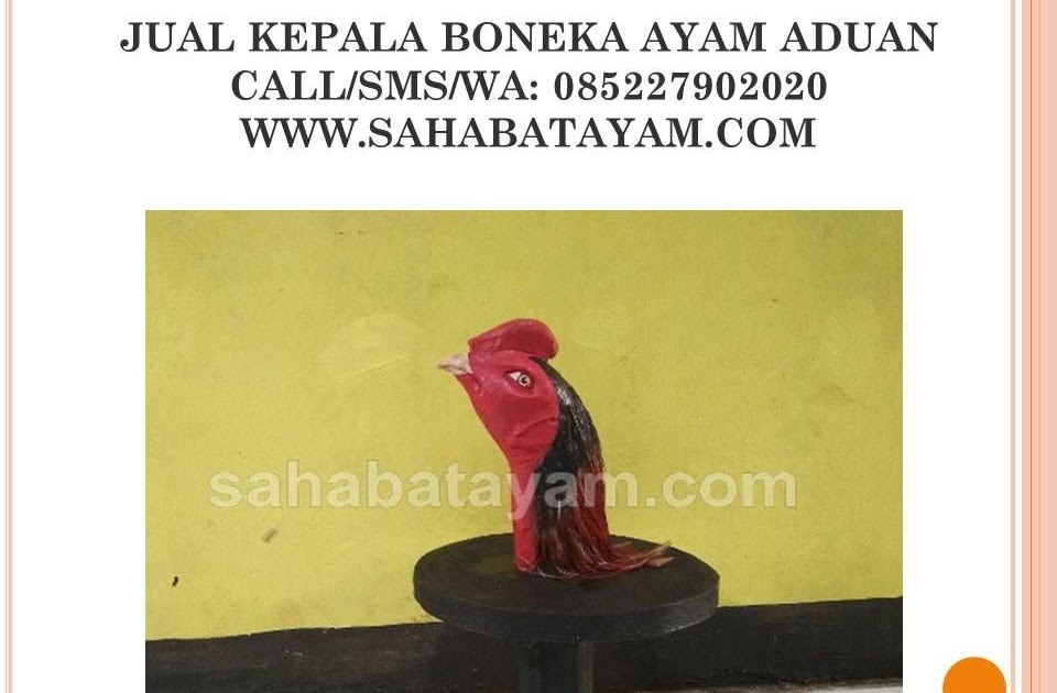 Wap2 Togel Cc User Php
, No Togel Anak Ayam Mati Mbut Gawe Gaizzz