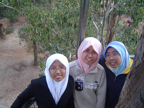 Wani 1 058