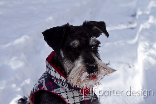 13-01WinterLou08