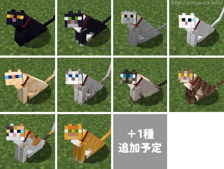 最高のマインクラフト 上マイクラ 猫 種類 名前
