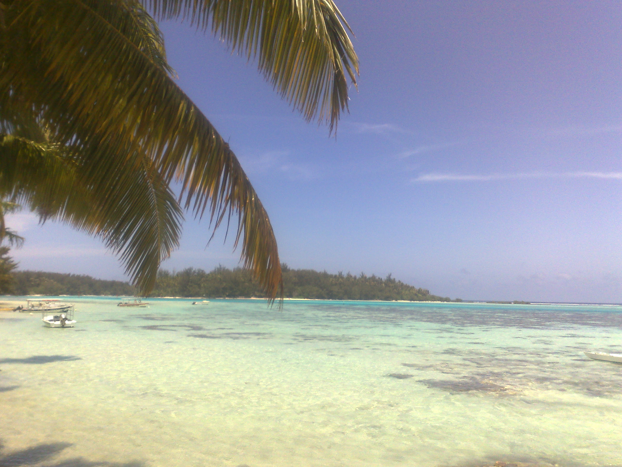 261120092244.jpg 261120092244.jpg