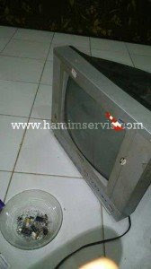tv-sanken