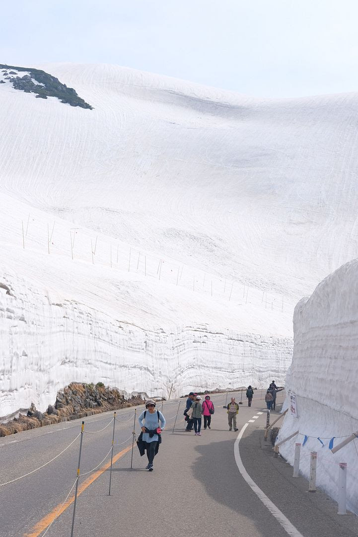 photo Snow Canyon Japan 2.jpg