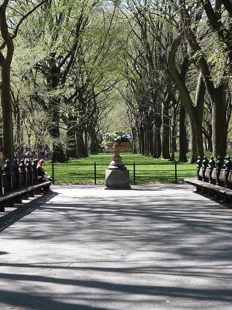 From a Spring Walk in Central Park