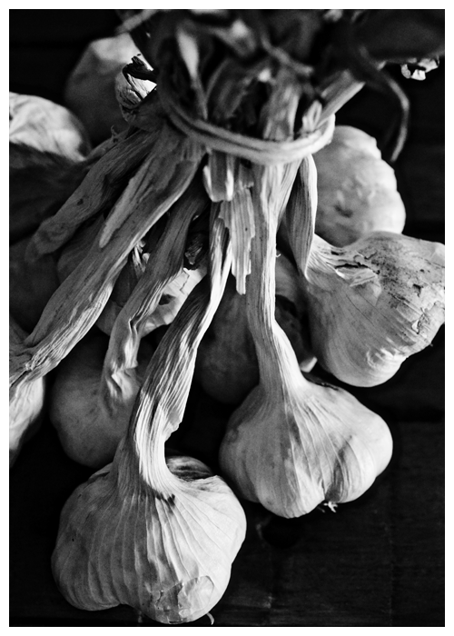 mazzo di aglio© by haalo