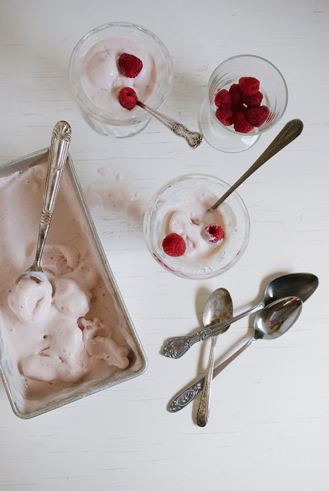 vanilla raspberry rhubarb frozen yogurt