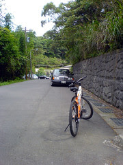 0603084859.JPG