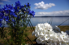 019FLOWE