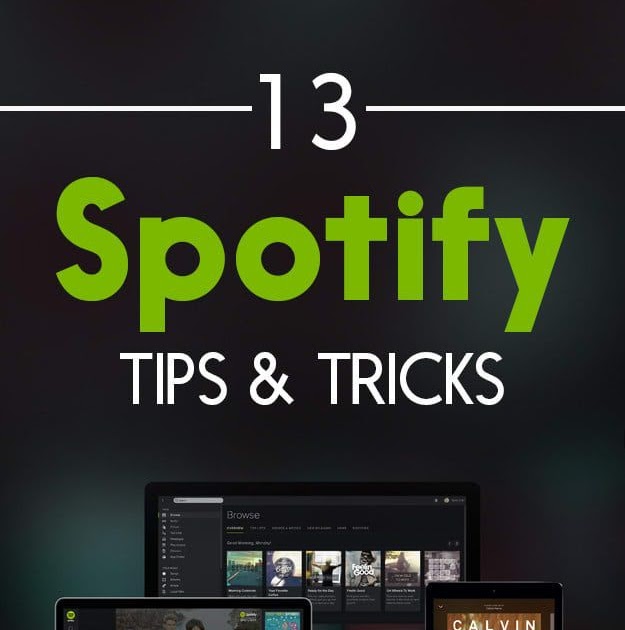 What Does E Mean Next To A Song On Spotify - What Does Mean