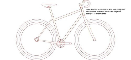 stem comparison