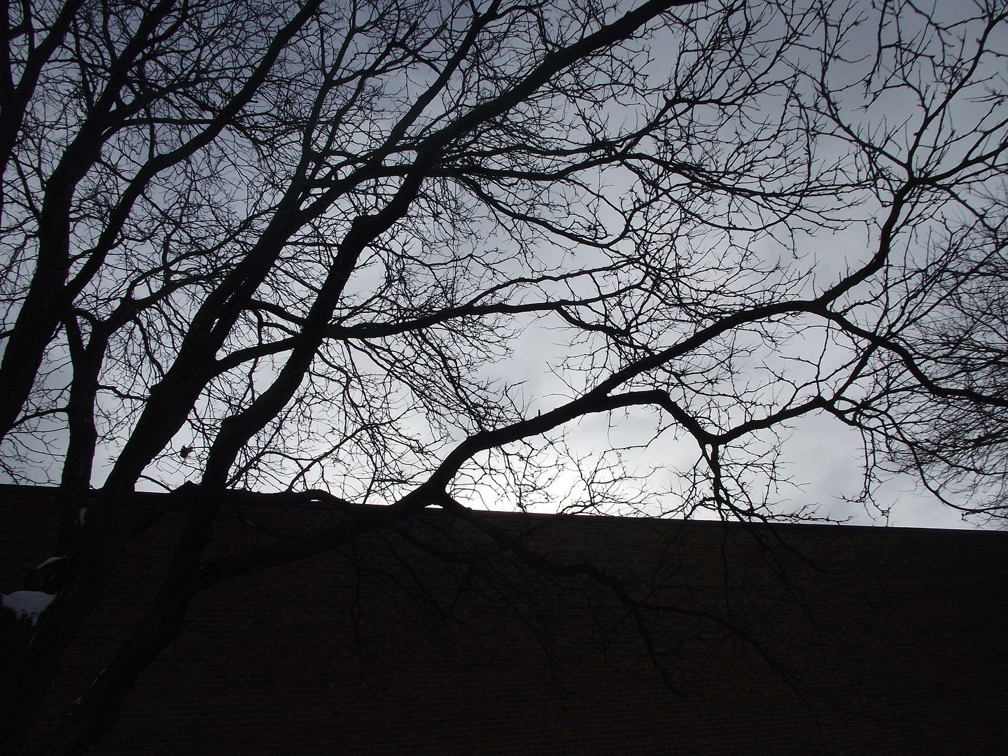 1.19. 2011