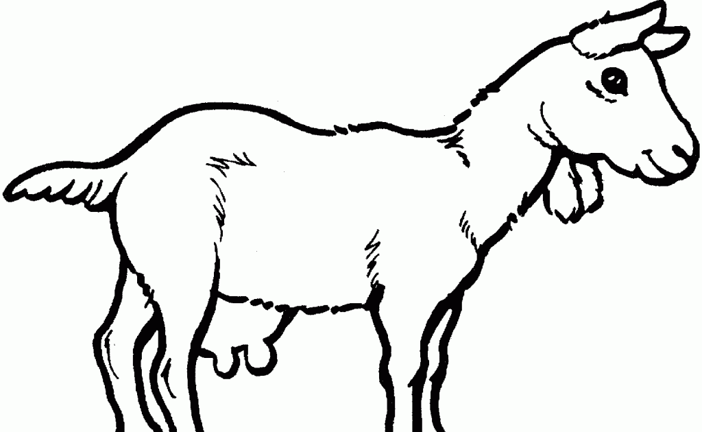 Free Printable Goat Coloring Pages For Kids
