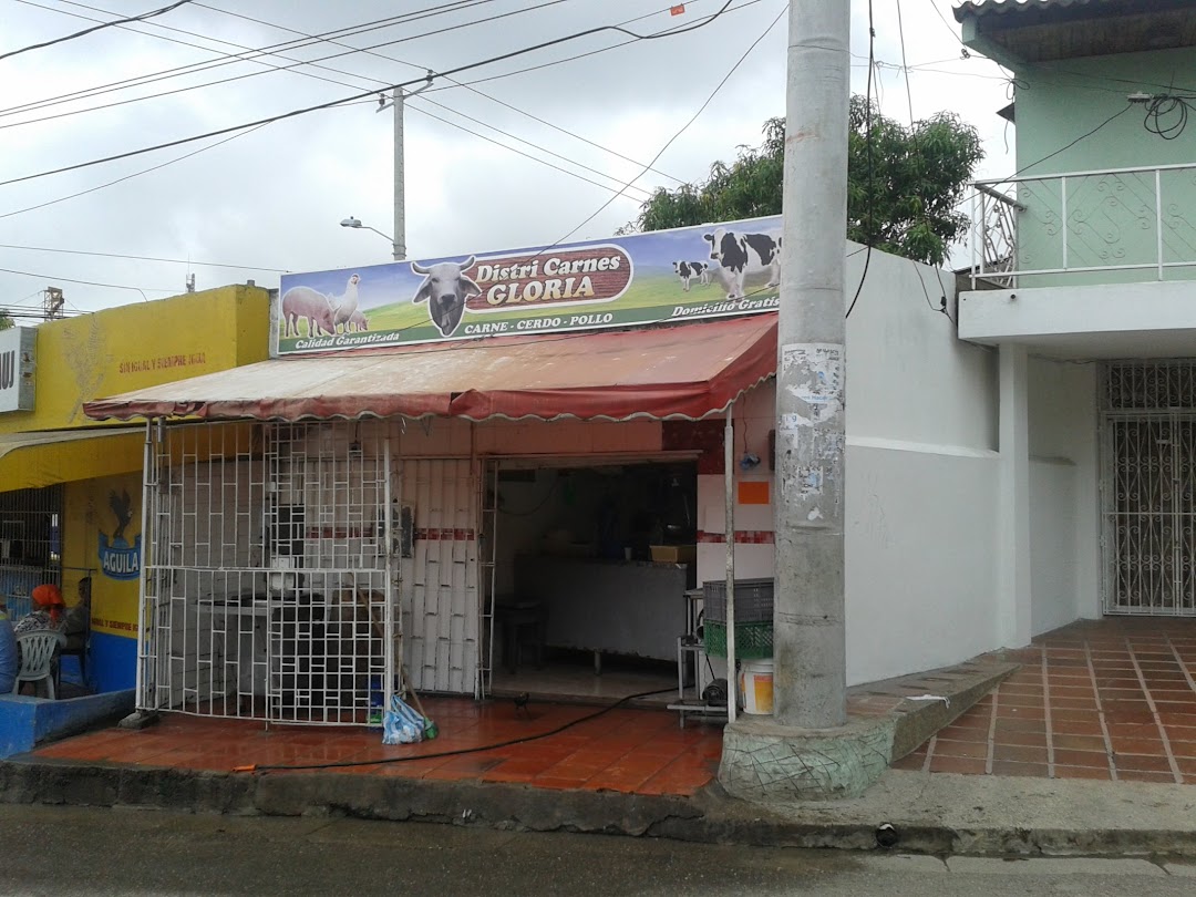 EXPENDIDO DE CARNES GLORIA