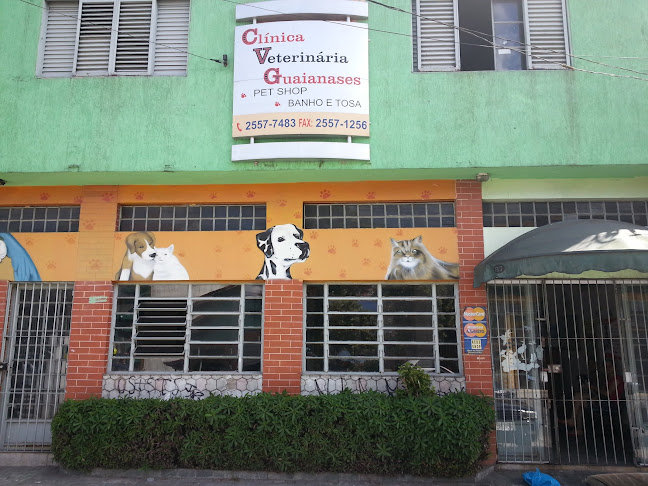 Avaliações sobre Clínica Veterinária Guaianazes em São Paulo - Veterinário