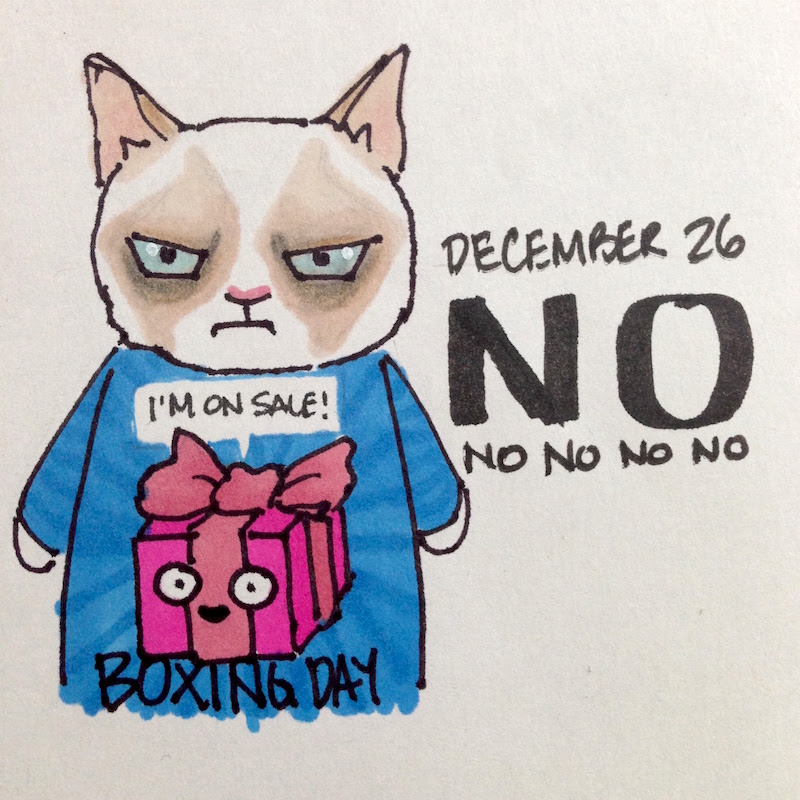 Grumpy Cat in Holiday Sweater, Boxing Day